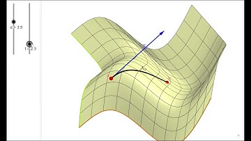 Lie group and Lie algebra visual simulation on a complex manifold.