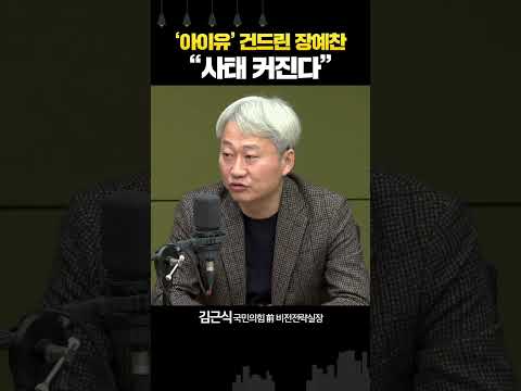 장예찬 웹소설 논란에 “아이유 팬덤 움직이면 일 커져”