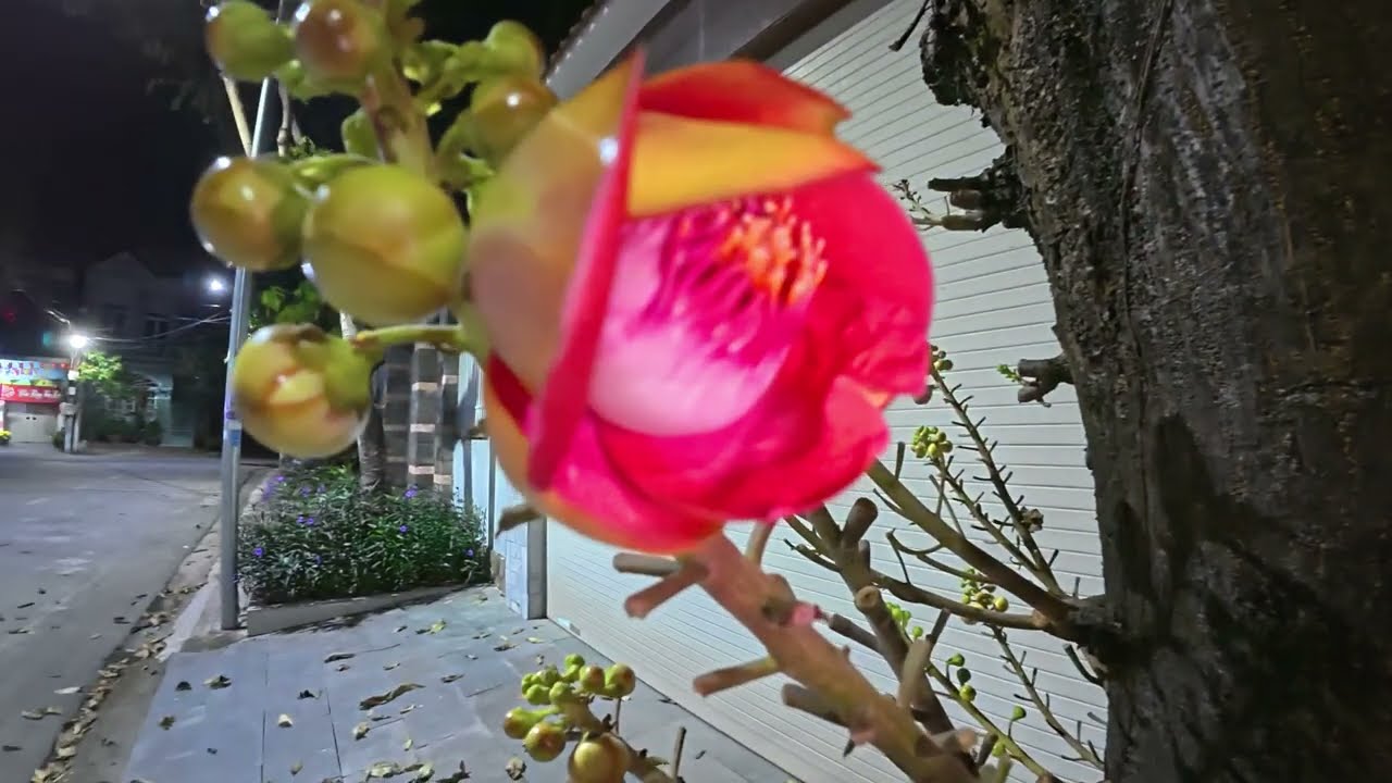 Walking Through Dimensions: Sublime Sounds & Scenery