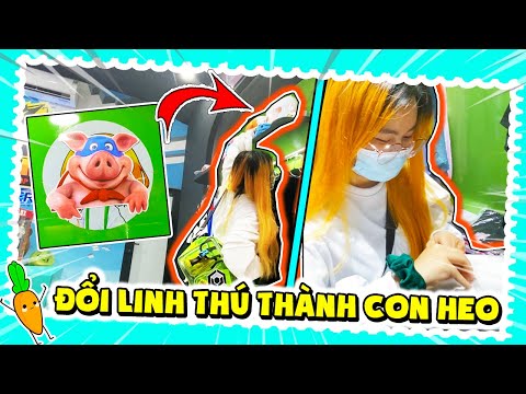 KAMUI CÙNG MR VỊT ĐI GỠ LINH THÚ BỊ ĐỔI THÀNH CON HEO TẠI SHOP HERO TEAM | VỊT MUA MÁY TÍNH MỚI