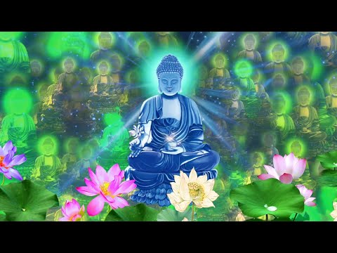 Video ???? 藥師佛 | Chú Dược Sư Phật | Đại Thừa Dược Sư Pháp giải... - youtube