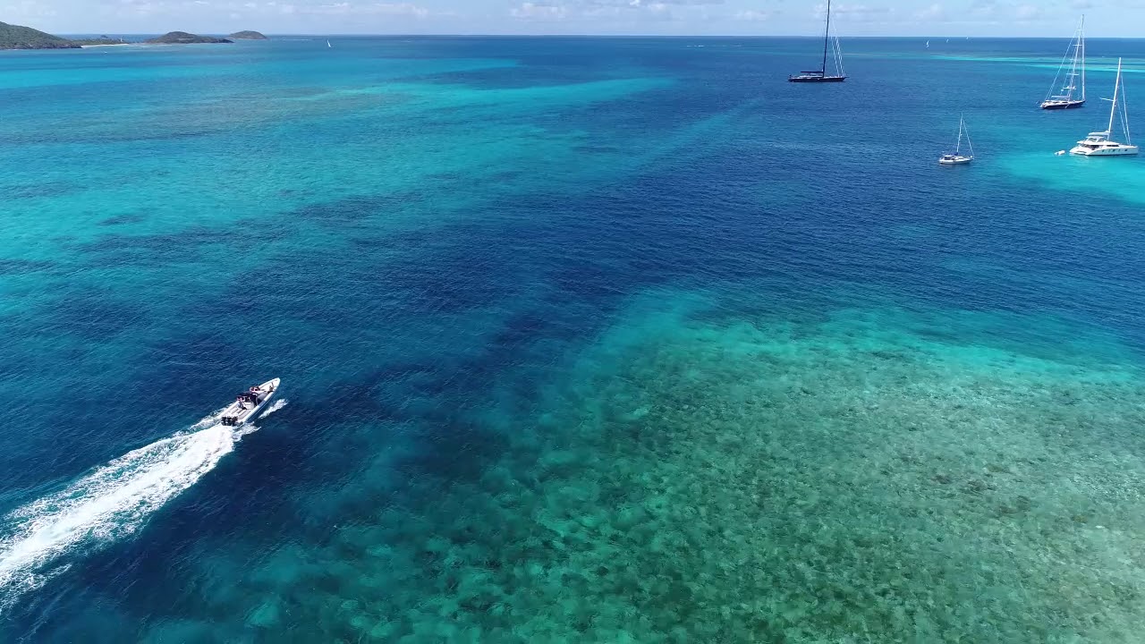 Marla's Ocean Dreaming