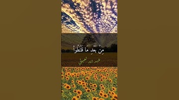 نهاوند ماتع سورة الشورى  #quran #اكسبلور #لايك