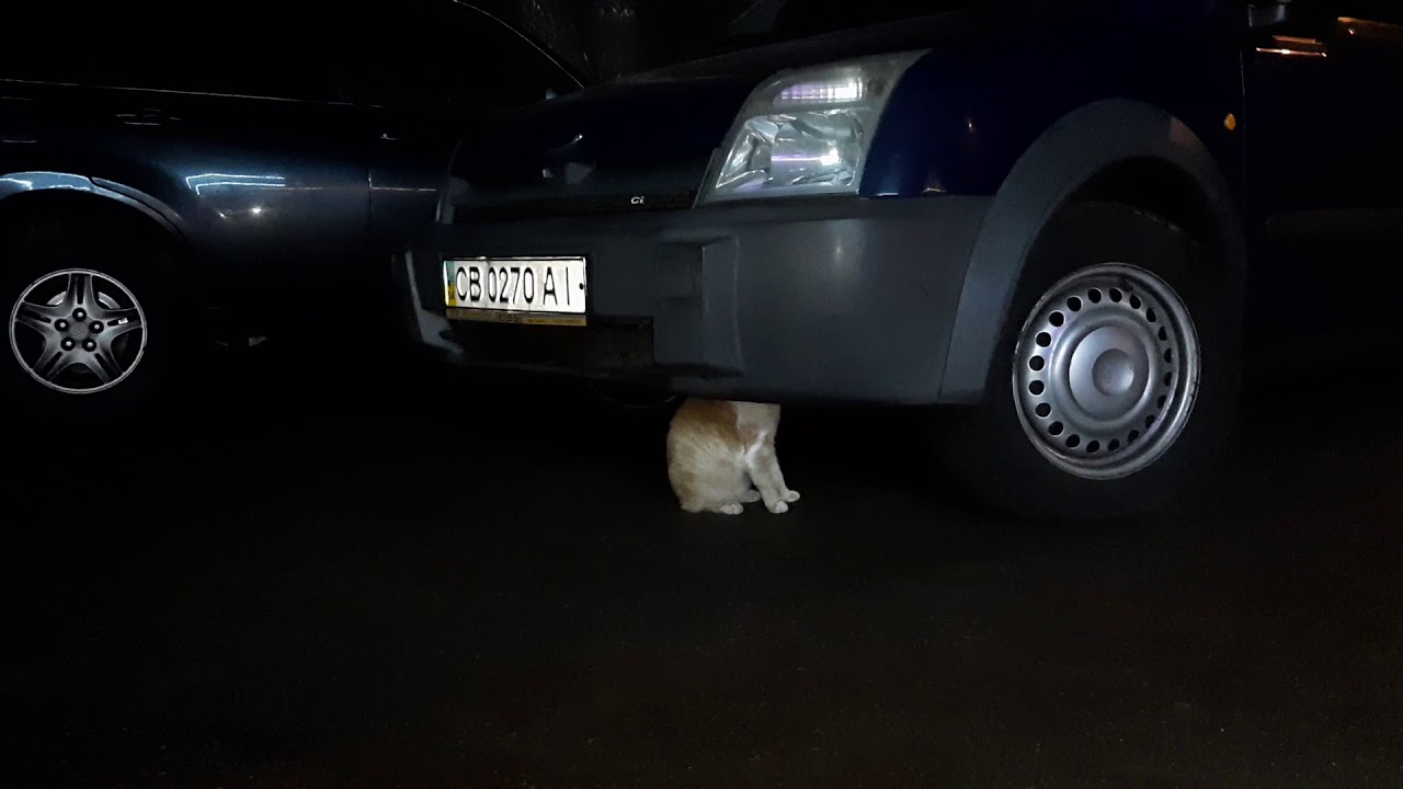 Кат на машине