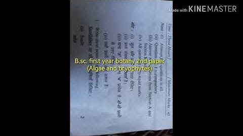 B.sc. first year botany second paper(Algae & Bryophytes)