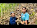 Lekali local mushroom  mero baba king of junglesiruthapamagarvillagelifefatherdaughtervlog