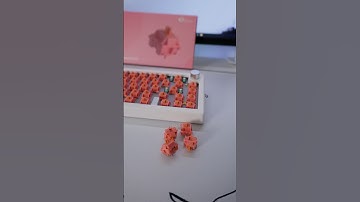 Akko Rosewood Switches (w/ Sound Test) #akko