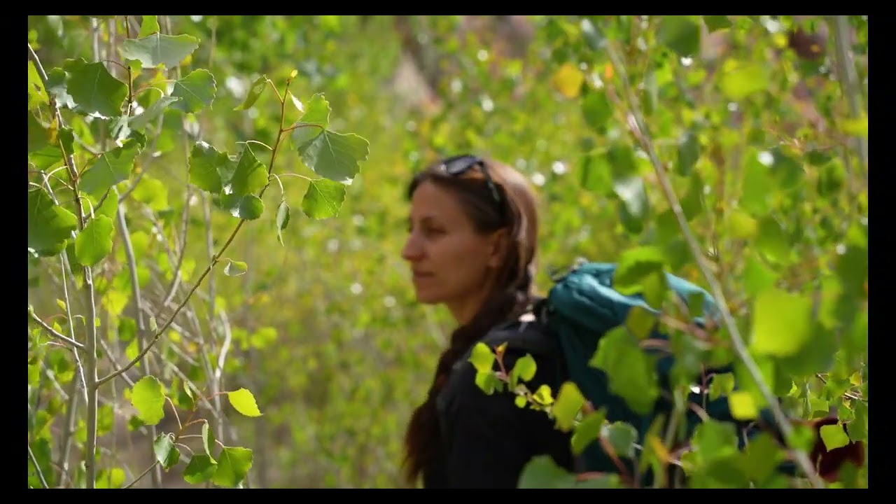 𝓣𝓱𝓮 𝓢𝓹𝓲𝓷𝓷𝓲𝓷𝓰 𝓖𝓵𝓸𝓫𝓮