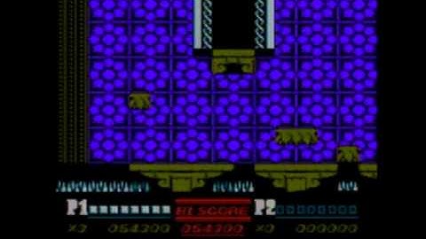 Double Dragon II: The Revenge - NES - Speed Run - NO CHEATS - NO DEATHS