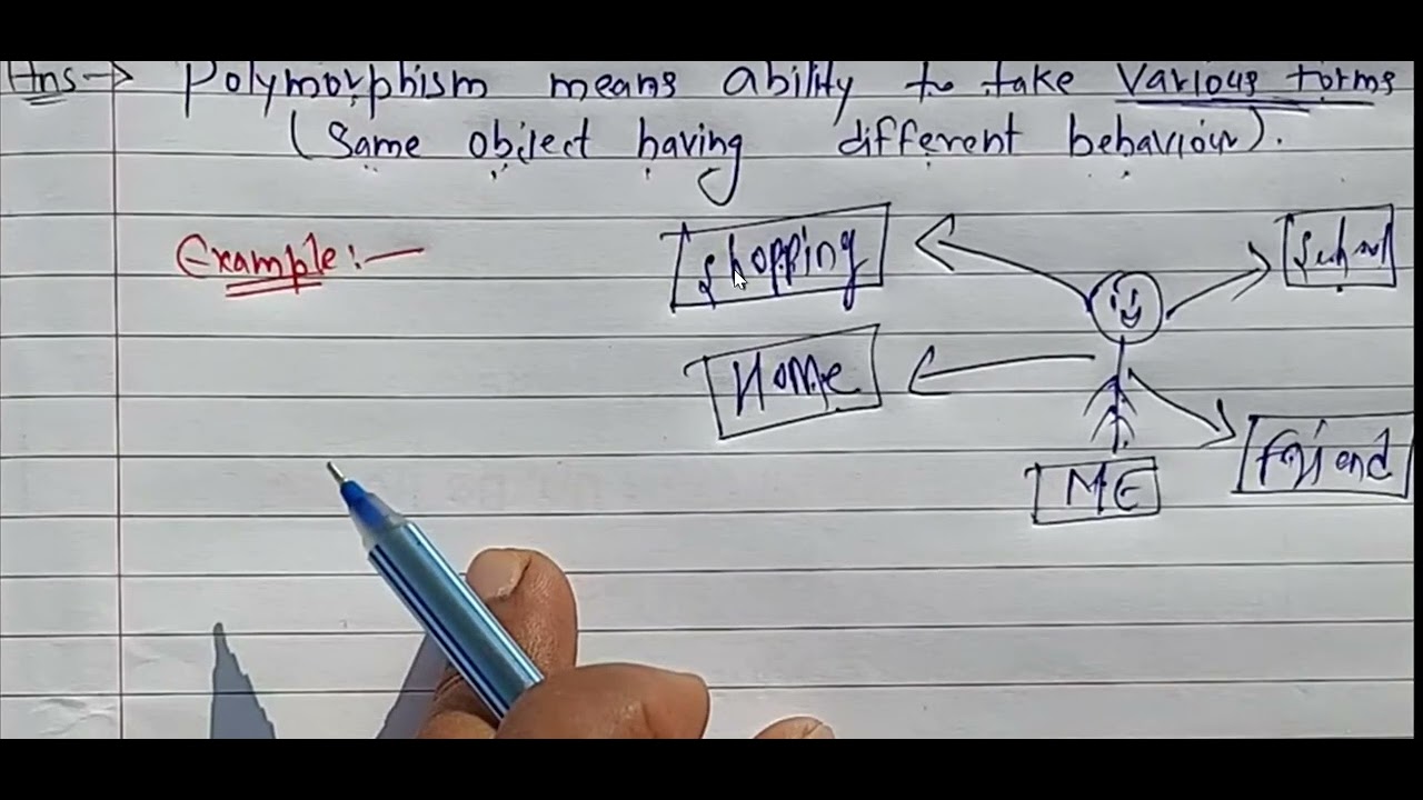 polymorphism part 1 basics - YouTube