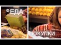 Будущее семьи Карбонов    2