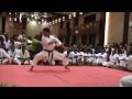World Karate Championships - Trinidad 2010 - Team Video