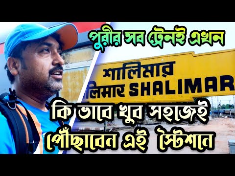 ভিডিও: ডালসিমার কোথায় আবিষ্কৃত হয়েছিল?