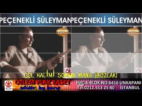 Pecenekli Süleyman  - Gel Halimi Sorma Bana  (Bozlak )