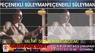 Pecenekli Süleyman  - Gel Halimi Sorma Bana  (Bozlak ) Resimi