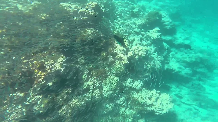 GOPRO109   edit1