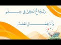 خل القرآن يسدده خل القرآن يسدده