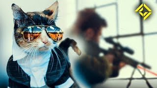 Secret Service Cat