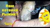 Мир чудесных путешествий
