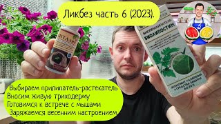 видео: Ликбез часть 6 (2023). картинка: Ликбез часть 6 (2023).