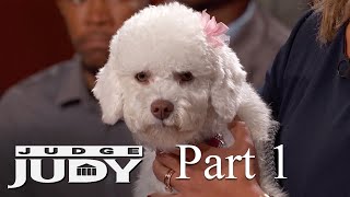 Dog's Eardrum Ruptured during Grooming? | Part 1