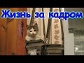 Семья Бровченко. Жизнь за кадром. Обычные будни. (часть 111)