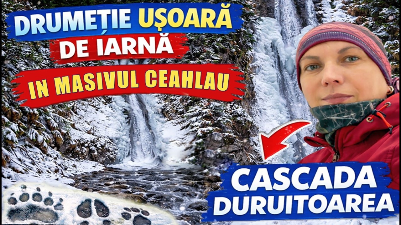 Urme de urs pe traseul Cascada Duruitoarea | Drumetie în Masivul Ceahlau