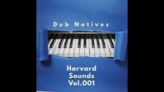 Harvard Sounds Vol.001 mixed & Compiled by Dub Natives