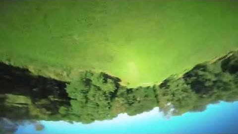 Slow Dance II ( FalcoX )