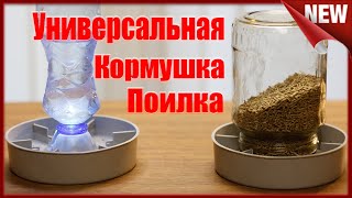 Новая  кормушка для цыплят.  #Поилка и #Кормушка в ОДНОМ ФЛАКОНЕ.