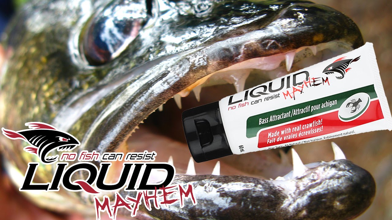 Iaconelli On Liquid Mayhem Fish Attractant Scents 