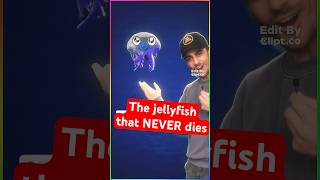 The jellyfish that NEVER dies..