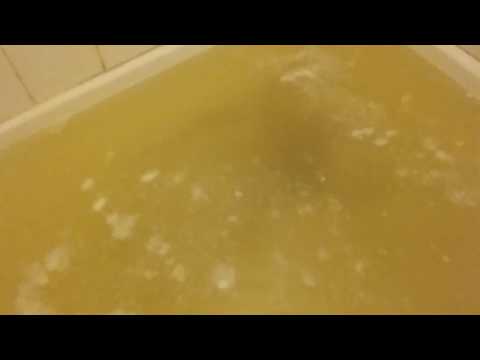 2017-06-05-sewage-coming-up-into-the-shower