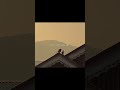 Jag Ghoomeya - Rahat Fateh Ali Khan | 🌅💫 Aesthetic Status | Chill Vibezs