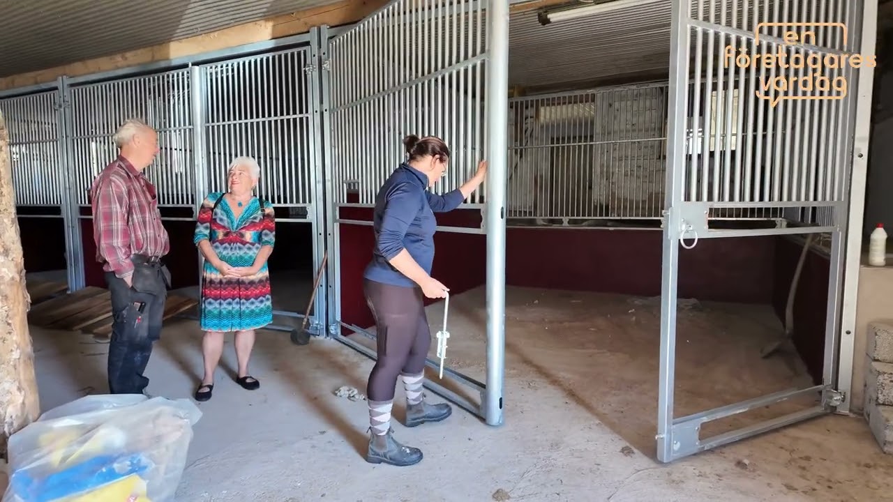 Dressyria gården där hästdrömmar blir till verklighet