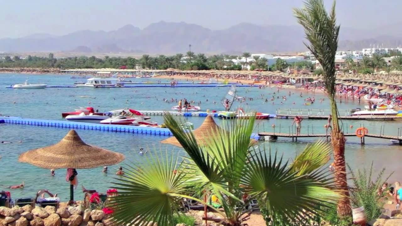 Michael Rottmann    "Ich will so gern an einen Strand"