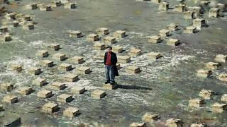 everybody dies - STANDARD FRIENDS