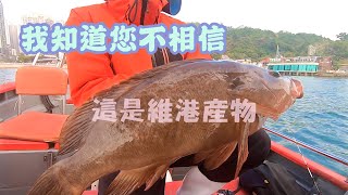 維港二次奇蹟 ｜維港大紅班:遇上艇家兒時傳說#香港釣魚