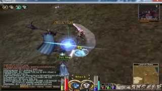 Bug Skill Holy Incantation - RPT - Patch 3285