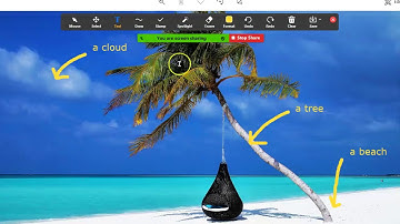 How to Annotate and Save a Picture in Zoom