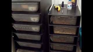 Collection Update and Animals For Sale Collection Update and Animals For Sale