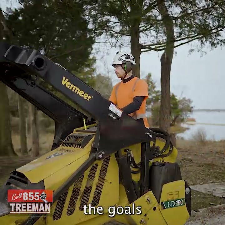 How To Tackle Multiple Stubborn Tree Projects | 855 TREEMAN - YouTube