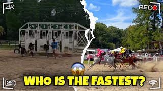 Horse Race Highlights… Then WE Raced on the Track! 🐎🏁