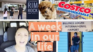 Week in the Life in BILLINGS MONTANA 🏔️ Costco, Shopping & Big Family Life | Family of 10