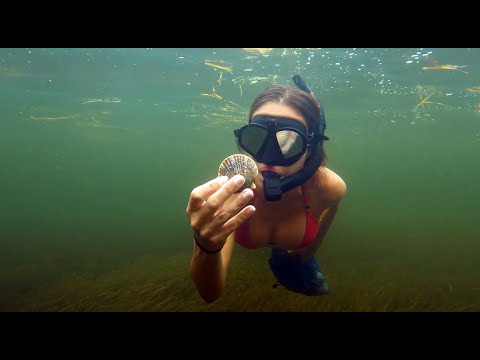 GIRLS Scalloping in Florida | PREVIEW @FishingwithLuiza