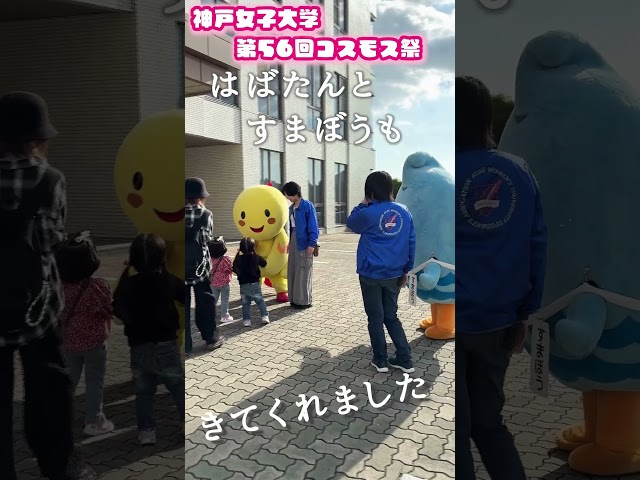 コスモス祭|神戸女子大学(須磨キャンパス)