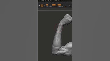 How To Create Undo History Movies In ZBrush #zbrush