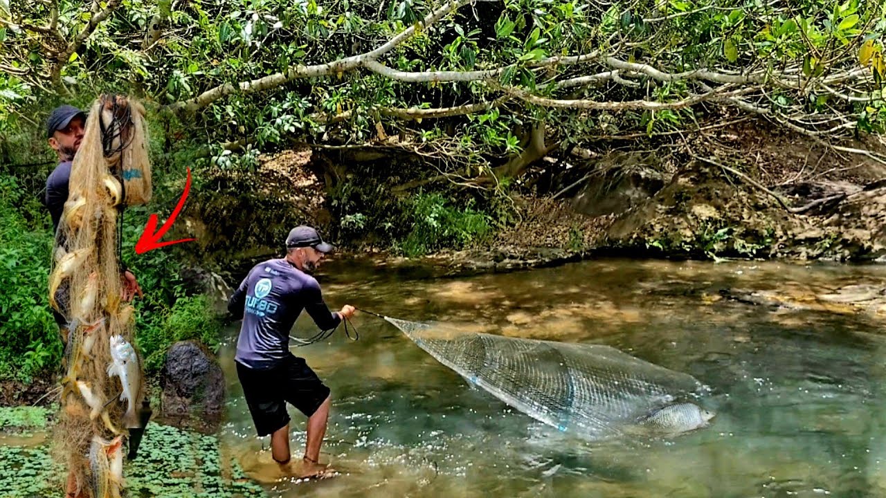 Só jogue tarrafa nesse rio se conseguir tirar da água... #peixefrito 🔥