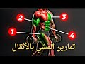 ماذا لو عملت تمرين المشي بالأثقال أو Farmers Walk كل يوم نتائج غير متوقعة ماذا لو عملت تمرين المشي بالأثقال أو Farmers Walk كل يوم نتائج غير متوقعة